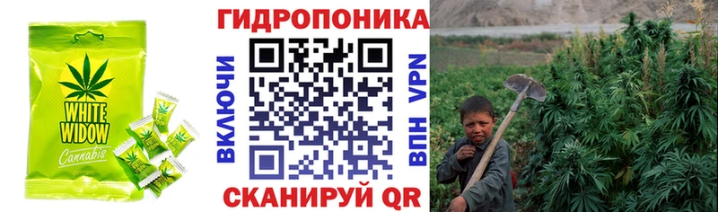 Canna-Cookies марихуана Стародуб
