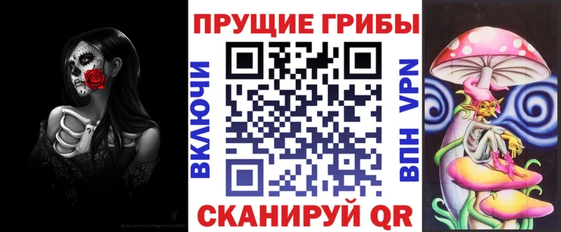 Галлюциногенные грибы мухоморы  кракен вход  Стародуб 